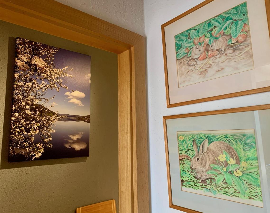 Ferienwohnungen Fuchs&Hase Saig - der Hase Exterior foto