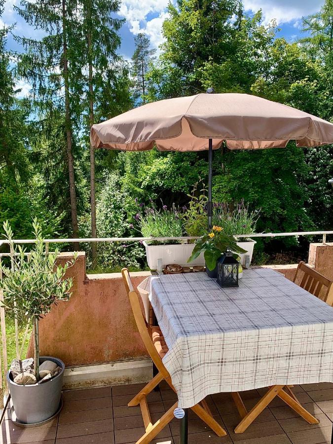 Ferienwohnungen Fuchs&Hase Saig - der Hase Exterior foto